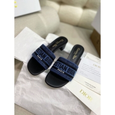 Christian Dior Slippers